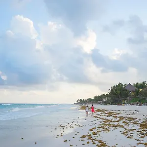 https://chill-inn-hostel.allrivieramayahotels.com