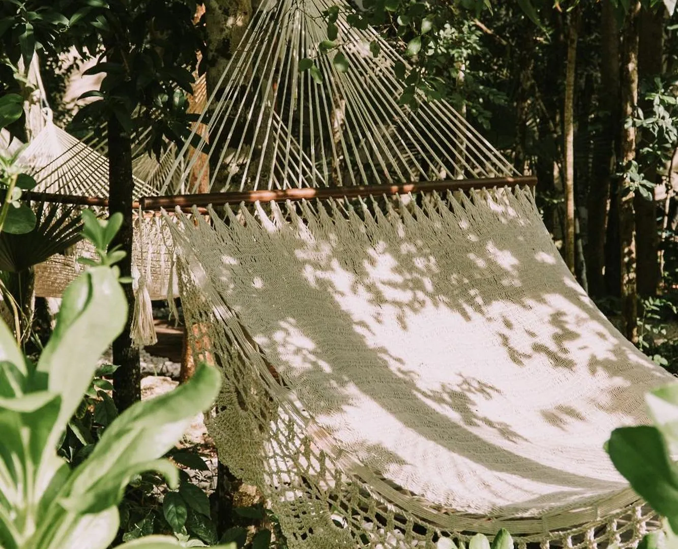 Kuun Taak Tulum Hotel